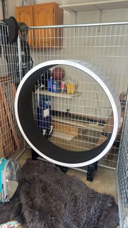 Ziggy doo cat wheel