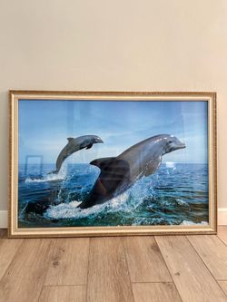 Large Vintage Framed Dolphin Ocean Art Print – Coastal / Nautical Decor (39” x 27”)