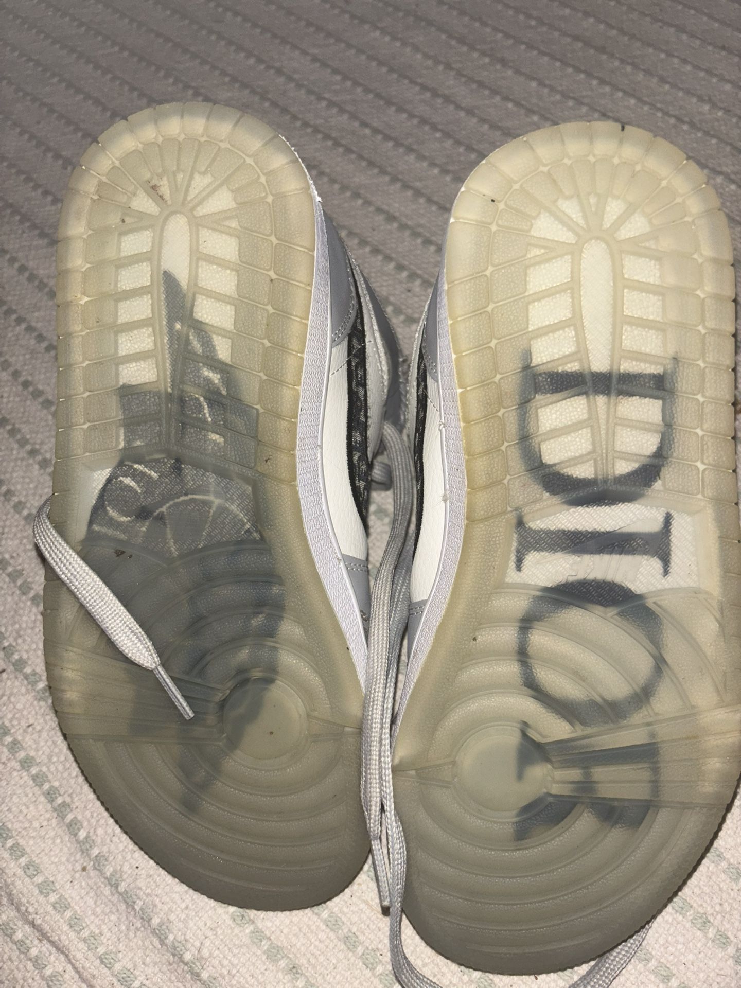 Dior Air Jordan 1s