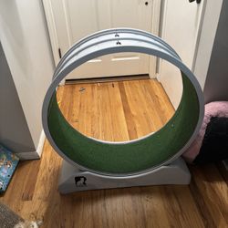 Cat Wheel