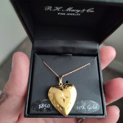Brand-new 10 K Heart Picture Locket Necklace