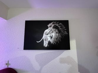 Lion Canvas