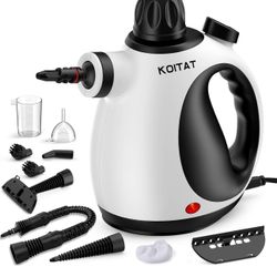 Steam Cleaner, Handheld Pressurized Steamer with 10-Piece Accessory Set, Multipurpose Portable Upholstery Steamer Cleaning with Safety Lock, All Natur