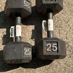 WEIDER 25Lb Hex Dumbbells 