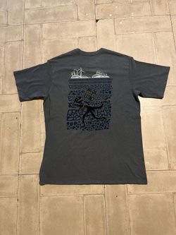 Patagonia fossil graphic gray tshirt size small regular fit