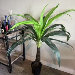 big fake plant decor