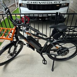 Rad City E-bike