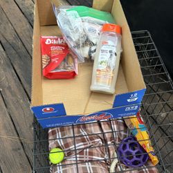 Dog Essentials