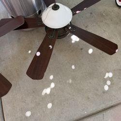  2 Ventiladores  Color Cafe