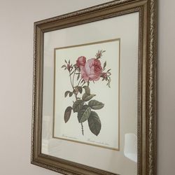 Vintage Framed Botanical Art Prints White & Pink Rose - $250