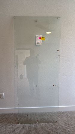 Shower door