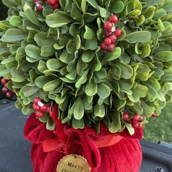 Christmas Holiday Sale 