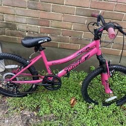 20” Youth Six Speed Bicycle 
