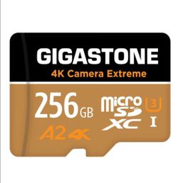 GIGASTONE 256GB Micro SD Card, 4K Camera Extreme, MicroSDXC Memory Card for Switch, GoPro, Action Camera, DJI, R/W up to 100/60MB/s, UHS-I U3 A2 V30 C