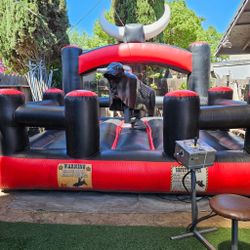 Sillas Chiavari, Sillas Cross Back, MEZAS DE Madera, CARPAS, CALENTONES, Pistas De Baile, NUMEROS DE LUCES, SILLAS DE TRONO MANTELERIA,