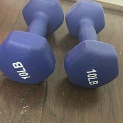 Pair of 10 lb Blue Dumbbells – Like New