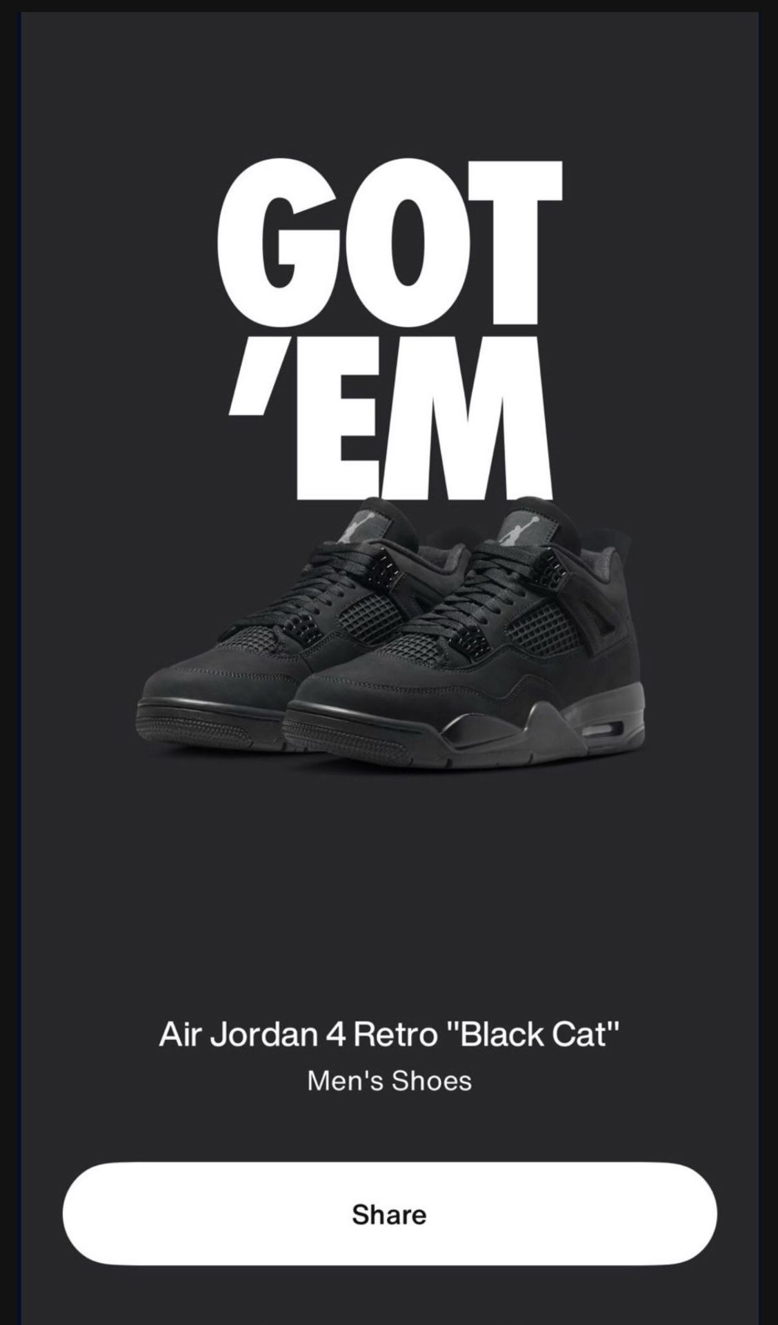 Jordan 4 Black Cat