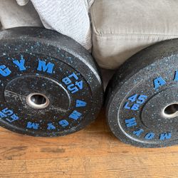 Bumper Plates Pairs 45/25/10. FIRM PRICE $160 