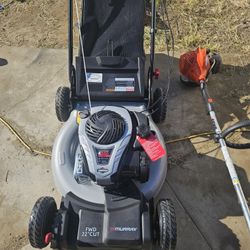 Lawn Mower/weed Eater 