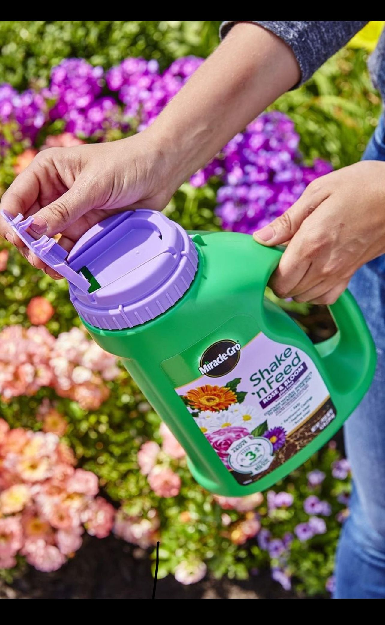 Miracle-gro Shake ‘N Feed Rose & Bloom Plant Food Fertilizer  4.5 Lbs (6-pack)