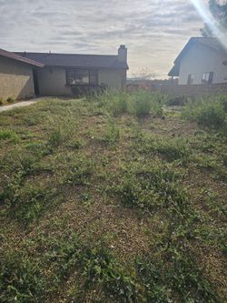 Clean Yard