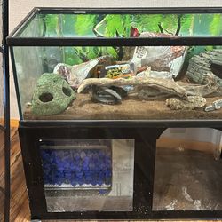 Saltwater Aquarium Tank / Coral Frag tank.   48L X 24 d  X 16h