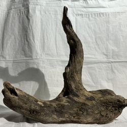 Organic driftwood