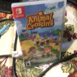 New Animal Crossing Nintendo Switch