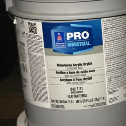 Drywall Paint 