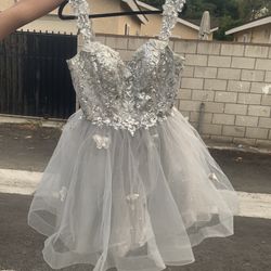 Silver Dress