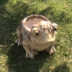 New Flower Pots Perfect Gift For Any Occasion 