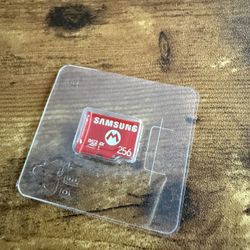 Samsung microSD Express Card – 256GB for Nintendo Switch™ 2