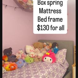 win Mattress, Box Spring  And bed Frame