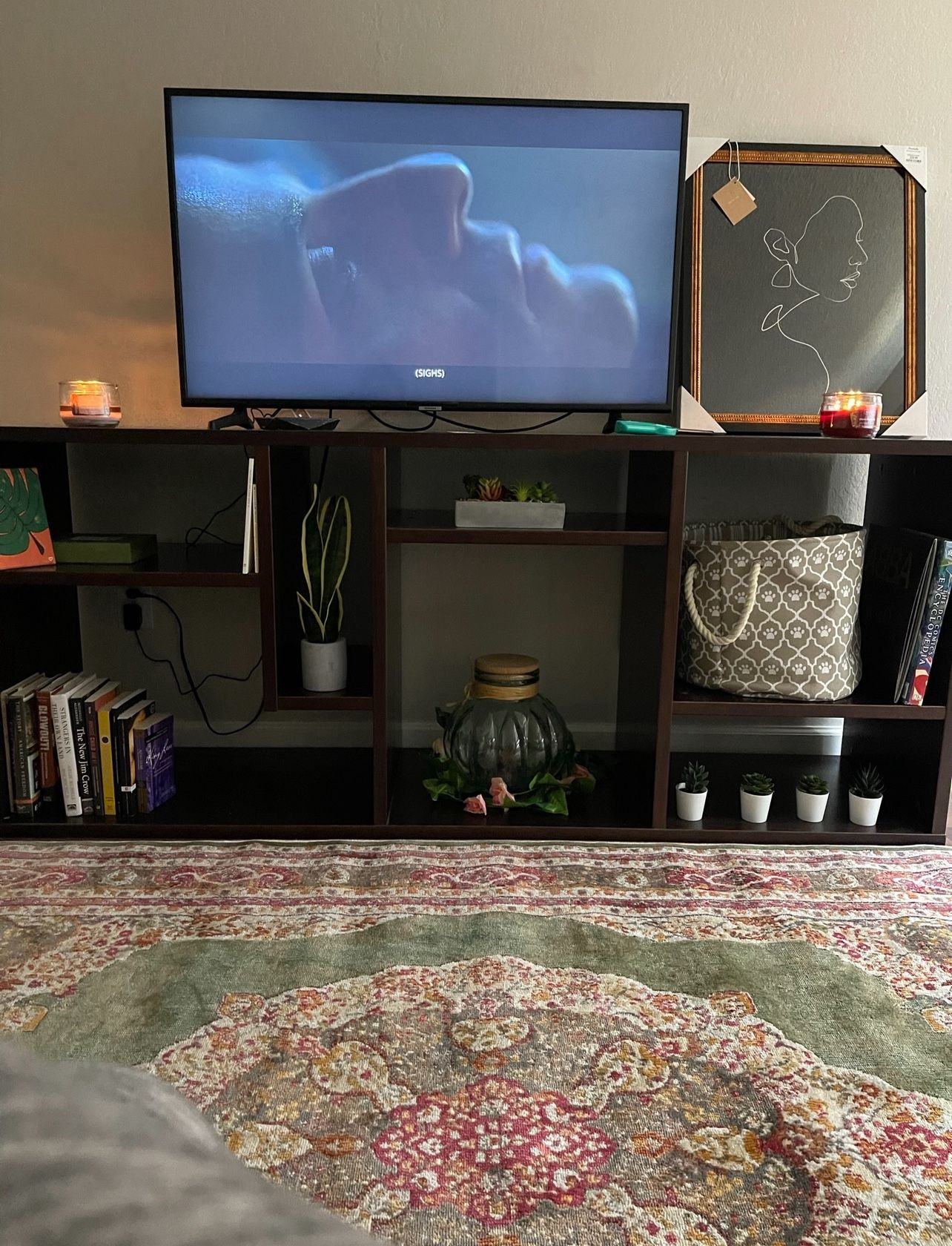 Bookshelf/TV Stand $50