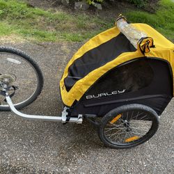 Burley 2024 bumble bee
