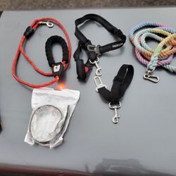 Dog Leashes