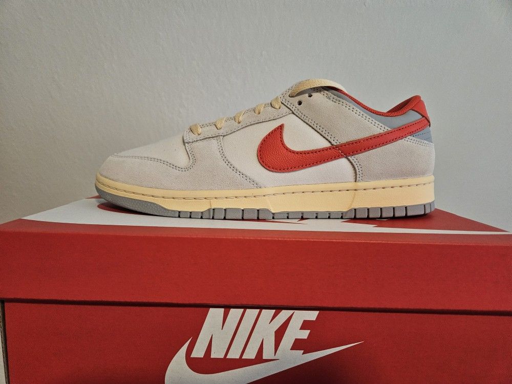 Nike Dunk Low Athletic Department Size 11