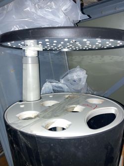 Aerogarden Indoor Garden With LED Light