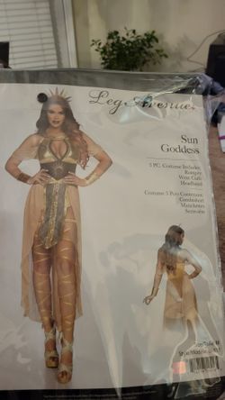 Sun Goddess Costume
