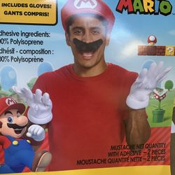 Mario and Luigi Costume