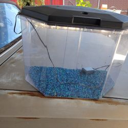 20 Gallon Aquarium 