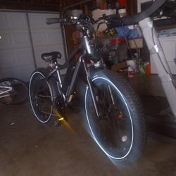 Electric Bike