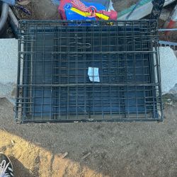 24’ In Dog Crate 