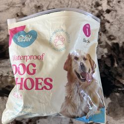 DOG / Dog Shoes