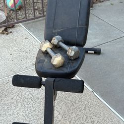 Weight bench and 2x10 pound dumbbells