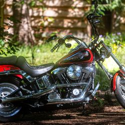 1999 Harley Davidson Softail Custom (FXSTC)