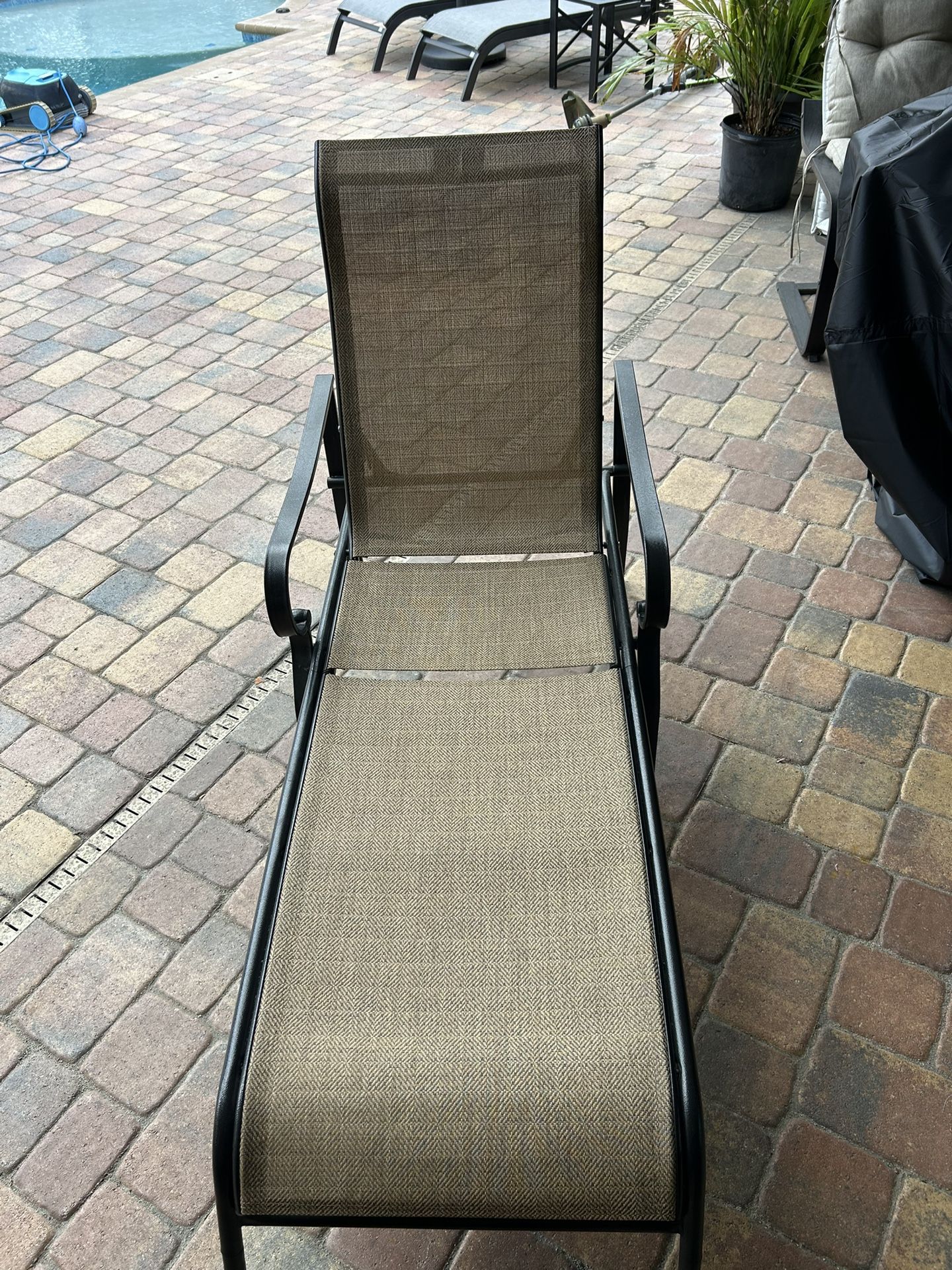 Lounge Chair
