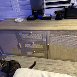 Double cat litter box enclosure with storage