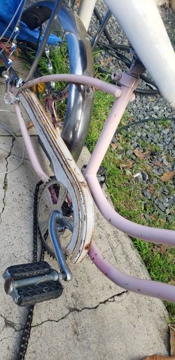 Sᴄʜᴡɪɴɴ 20" Fᴀɪʀ Lady