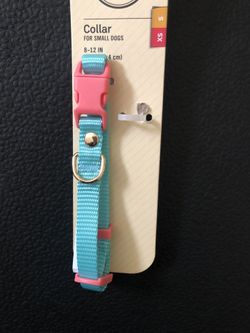 Small Dog Collar **BRAND NEW**